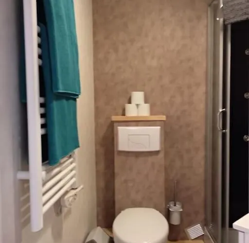 Centre Rose Toulouse